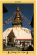 NEPAL, Picture Postcard,  Bird,  Himalaya Pheasant   /  ALLEMAGNE, Carte Postale, Oiseaux, Faisan     1991 - Gallináceos & Faisanes
