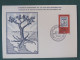 Turkey 1981 FDC Card Stamp On Stamp Ataturk Tree Map - Briefe U. Dokumente