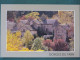 France Postacard Gorges Du Tarn - Houses - Unused - Other & Unclassified