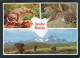 KENYA - Jambo - Un Paysage Et Les Faunes Sauvages - Colorisé - Carte Postale - Kenia