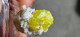 Delcampe - Zolfo Cristallo Singolo Gemma Sicilia Cozzodisi 1,83 Gr - Minerals