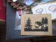 Postkarte Silhouette Doe In The Forest - Scherenschnitt - Silhouette