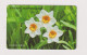 SOUTH KOREA - Flowers Magnetic Phonecard - Corée Du Sud