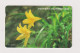 SOUTH KOREA - Flowers Magnetic Phonecard - Corea Del Sud