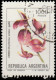 Argentine 1982. ~ YT 1312/14 - Fleurs - Used Stamps