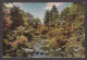 110785/ BOURNEMOUTH, Compton Acres, Japanese Garden, Stepping Stones - Bournemouth (from 1972)