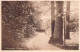 Pinneberg - Waldpartie Gel.1927 - Pinneberg