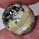 Opale Opaque Africaine: 16.94 Carats | Cabochon Ovale | Brun/Vert - Ópalo