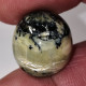 Delcampe - Opale Opaque Africaine: 16.94 Carats | Cabochon Ovale | Brun/Vert - Opaal