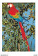01 Villars Les Dombes Parc Ornithologique Oiseau ARA MACAO D'Amazonie Cliché SECA VOIR DOS - Villars-les-Dombes