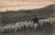 France - Environs De Cluny - Cortembert - Ferme De Varanges La Bergerie - Moutons - Berger -  Carte Postale Ancienne - Cluny