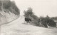 PHOTOGRAPHIE - Europe - St Gilles - Campagne - Femme Avec Une Vache - Europe