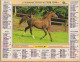 CALENDRIER ANNEE 1996, COMPLET, CHEVAL, BERGER ALLEMAND COULEUR  REF 14381 - Grand Format : 1991-00