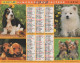 CALENDRIER ANNEE 1998, COMPLET, CHATONS, CHIOTS COULEUR  REF 14382 - Grand Format : 1991-00