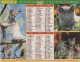 CALENDRIER ANNEE 1999, COMPLET, CHATONS, CHIOTS COULEUR  REF 14383 - Formato Grande : 1991-00