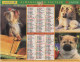 CALENDRIER ANNEE 1999, COMPLET, CHATONS, CHIOTS COULEUR  REF 14383 - Grossformat : 1991-00