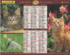 CALENDRIER ANNEE 2000, COMPLET, CHATONS, CHIOTS COULEUR  REF 14384 - Grand Format : 1991-00