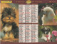 CALENDRIER ANNEE 2000, COMPLET, CHATONS, CHIOTS COULEUR  REF 14384 - Formato Grande : 1991-00