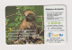 SPAIN - Short Toed Snake Eagle Chip Phonecard - Herdenkingsreclame