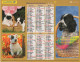 CALENDRIER ANNEE 2003, COMPLET, CHIOTS, CHATONS COULEUR  REF 14387 - Grand Format : 2001-...