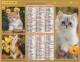 CALENDRIER ANNEE 2003, COMPLET, CHIOTS, CHATONS COULEUR  REF 14387 - Grand Format : 2001-...
