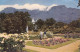 SOUTH AFRICA - PICTURE POSTCARD 1966 - MANNHEIM/DE / 5229 - Brieven En Documenten