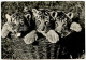 Germany, DDR 1973 RPPC Postcard Three Tiger Cubs; Eisenhottestadt Postmark - Tiger