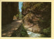 38. LE VERCORS – Route De Villard-de-Lans à Pont-en-Royans – Les Gorges De La Bourne (voir Scan Recto/verso) - Vercors