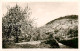 73809912 Heppenheim Bergstrasse Panorama Mandelbluete Heppenheim Bergstrasse - Heppenheim