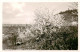 73809909 Heppenheim Bergstrasse Panorama Im Bluetenschmuck Heppenheim Bergstrass - Heppenheim