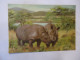 UNITED STATES  ZOO LAKE KYLE  POSTCARDS ZOO  ANIMALS  RHINOCEROS RHINO - Neushoorn