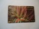 ST VINCENT GRENADINES  USED CARDS  MARINE LIFE FLOWERS  ANEMONES - Vissen