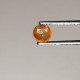 Delcampe - Grenat Hessonite Gemme Naturelle Du SRI-LANKA - Rond 0.76 Cts - 5 X 3 Mm - Sonstige & Ohne Zuordnung