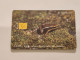 CUBA-(CU-ETE-0032)-Pygmy Frog-(18)-($20)-(0001871033)-used Card+1card Prepiad Free - Cuba