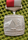 Medaille -  W.S.V. Steeds Voorwaarts , Hoofddorp -  Original Foto  !!  Medallion  Dutch - Sonstige & Ohne Zuordnung