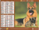 CALENDRIER ANNEE 2008, COMPLET, CHIENS COULEUR REF 14404 - Grand Format : 2001-...