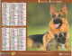 CALENDRIER ANNEE 2008, COMPLET, CHIENS COULEUR REF 14404 - Formato Grande : 2001-...