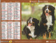 CALENDRIER ANNEE 2008, COMPLET, CHIENS COULEUR REF 14404 - Tamaño Grande : 2001-...