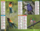 CALENDRIER ANNEE 2011, COMPLET, OISEAUX, MULTIVUE  COULEUR REF 14407 - Groot Formaat: 2001-...