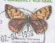 Greenland PRIORITAIRE Label QAQORTOQ 1998 Cover Brief Schmetterling Butterfly Papillon ERROR Variety 'Misplaced Colour' - Cartas & Documentos