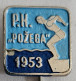 PK POZEGA ( Croatia ) Swimming Club, Plivacki Klub   PINS BADGES A13/11 - Swimming