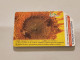 CUBA-(CU-ETE-URM-031)-Sunflower 2-URMET-(52)-(5.00 Pesos)-(501051841)-used Card+1card Prepiad Free - Cuba