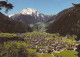 AK 202318 AUSTRIA - Mayrhofen Im Zillertal - Blick Grünberg - Zillertal