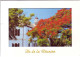 Ile De La Reunion Ed Clin D'oeil N° T 127 Mairie De St Pierre Flamboyant 2004 - Saint Pierre