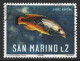 San Marino 1966. Scott #644 (U) Fish, Cuckoo Wrasse - Usati