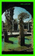 CLEARWATER, FL - KAPOK TREE INN - THE GARDENS WITH MANY STATUES - ACTION COLOR PRODUCTIONS - - Clearwater