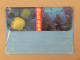 Cover Envelope - Red Sea Snorkeling Red Sea - Jet Ski Skijet Ski Jet - Natación