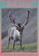 Norway Polarstern Postcard Svalbard Reindeer Signature Ca Longyearbyen  18.9.2008 (JS164A) - Navires & Brise-glace