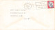 Delcampe - USA - COLLECTION MAIL & POSTAL STATIONERY / 6000 - Collections