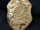 US POLICE BADGE POLIZIA DISTINTIVO SPECIAL AGENT STARS SPECIAL TACTICS AND RESCUE SERVICE - USA - MARIN'S CORP - Policia